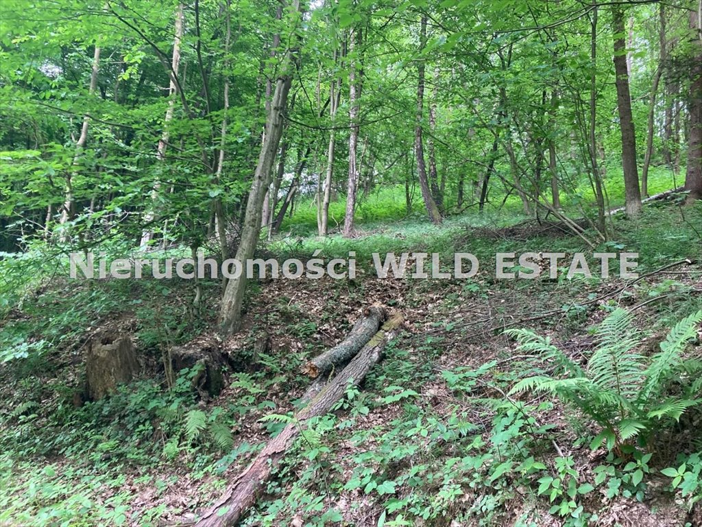 Działki rolne 4,5 ha w Dydni i Krzemiennej, inwestycja Dydnia, Krzemienna  45 172m2 Foto 1