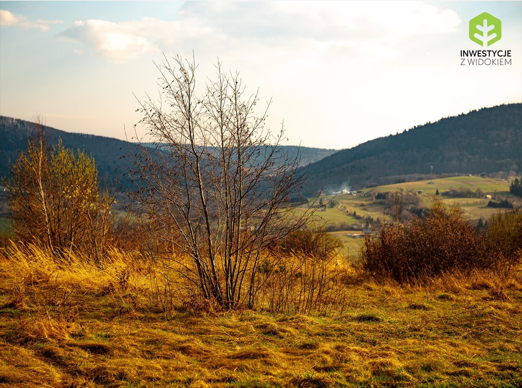 Działka budowlana na sprzedaż Gorlice, Widokowy kompleks działek w Beskidzie Niskim  859m2 Foto 9