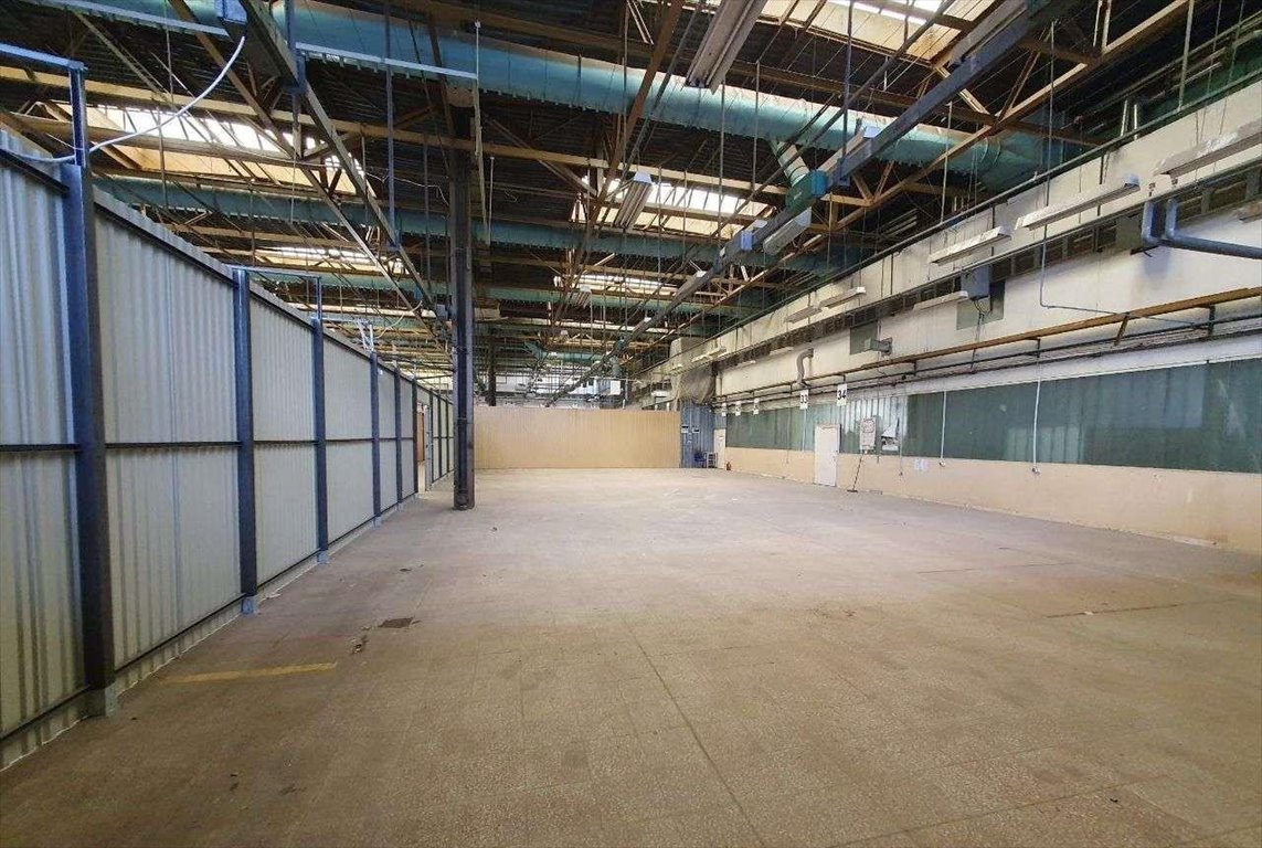Zapraszam do wynajęcia magazynu 231,7 m² z rampą od ręki Warszawa, Bielany, Wólczyńska 133  223m2 Foto 1