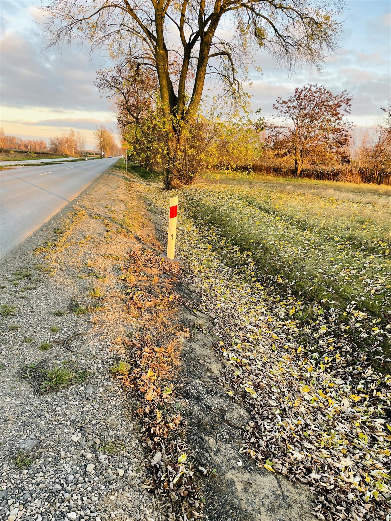 Działka inwestycyjna na sprzedaż Stare Grabie, Szosa Jadowska  11 400m2 Foto 1