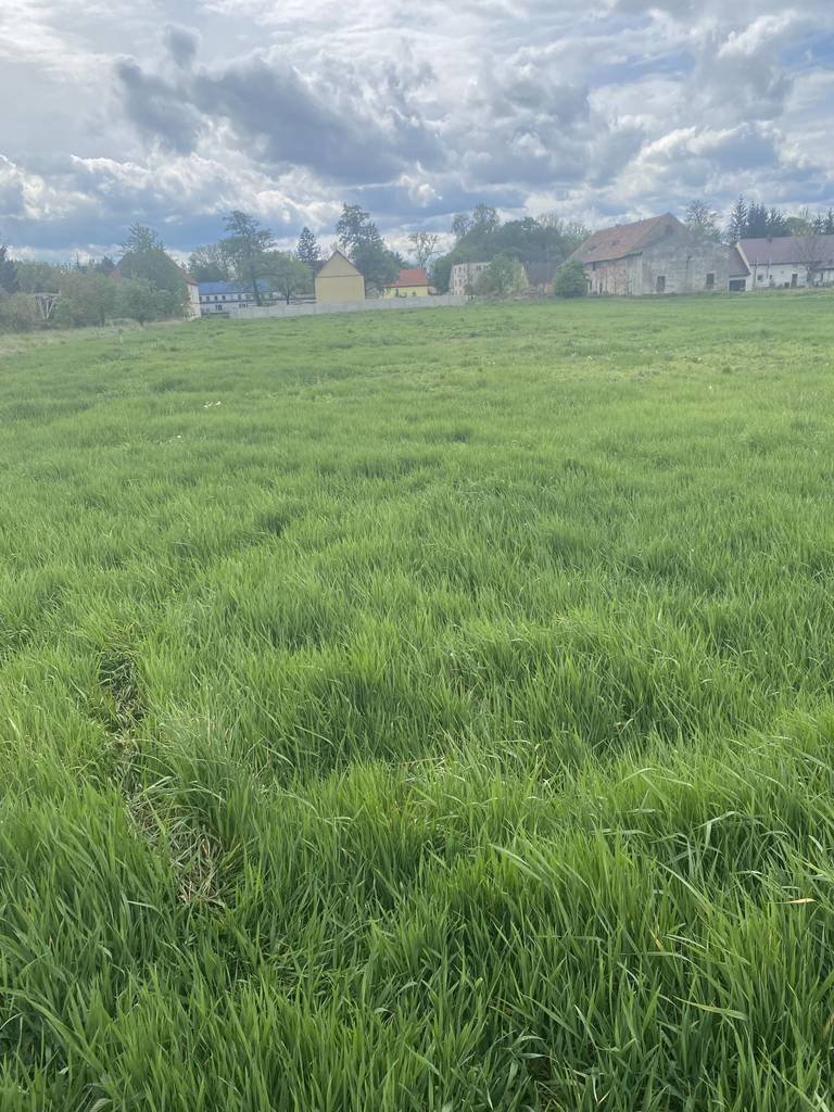 Działka budowlana 45,67 arów z dostępem do prądu i wody Trzeboszowice  4 567m2 Foto 1