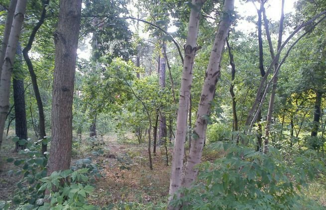 Działka 3317 m2 pod dom lub pensjonat w Konstancinie Konstancin-Jeziorna  3 317m2 Foto 1