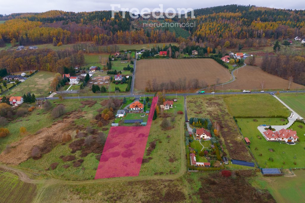 Działka budowlana na sprzedaż Wojcieszyce, Jeleniogórska  4 000m2 Foto 2