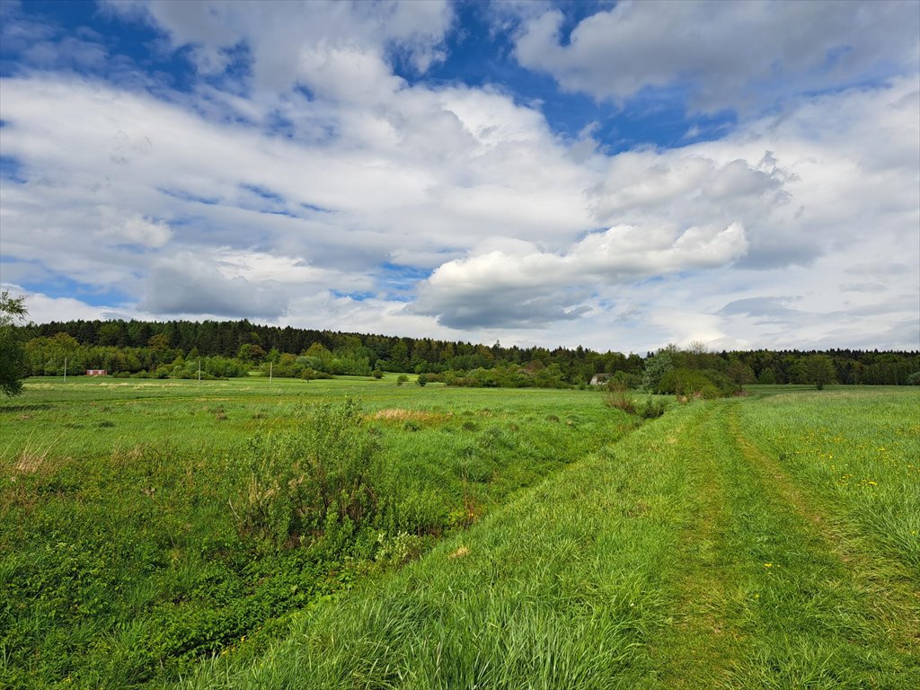 Działka budowlana na sprzedaż Lipinki  3 031m2 Foto 6