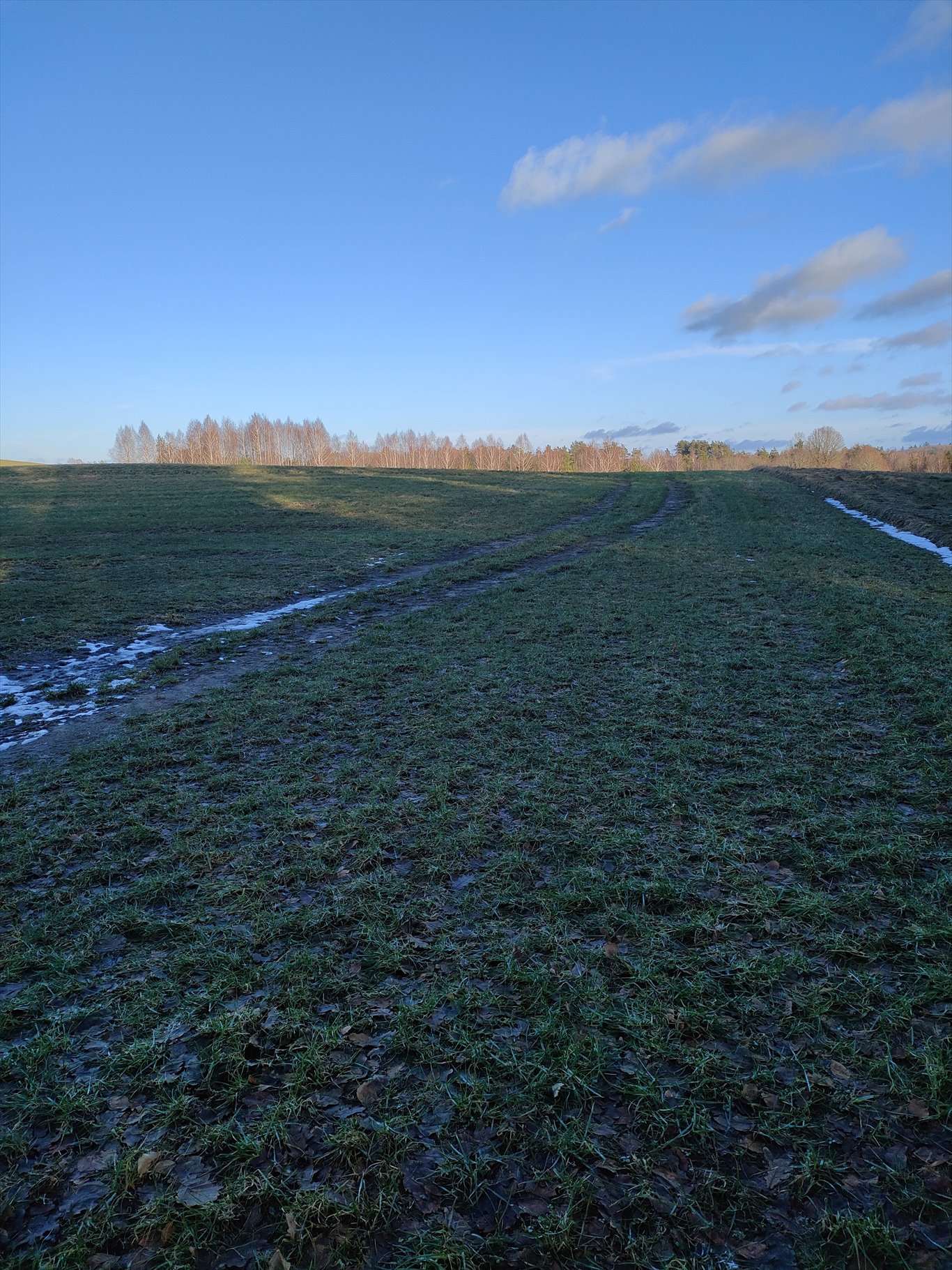 Działka siedliskowa na sprzedaż Cewice, pieski  3 000m2 Foto 3