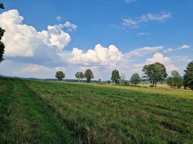 Działka budowlana na sprzedaż Podlesie  441m2 Foto 3