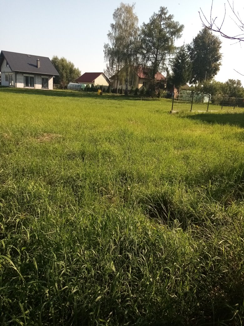 Działka budowlana na sprzedaż Trzciana, gm. Świlcza  3 093m2 Foto 2