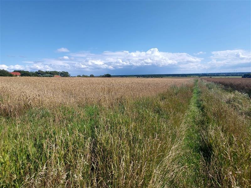 Działka inna na sprzedaż Kopnica, Kopnica  3 000m2 Foto 7