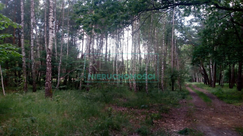 Działka budowlana na sprzedaż Radonie  500m2 Foto 1