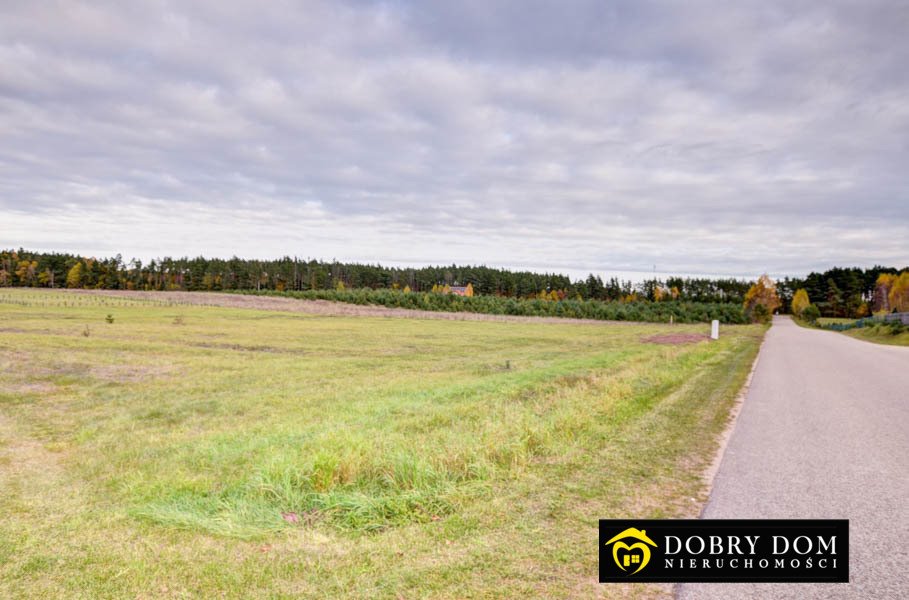 Działka budowlana na sprzedaż Danowskie  1 001m2 Foto 5