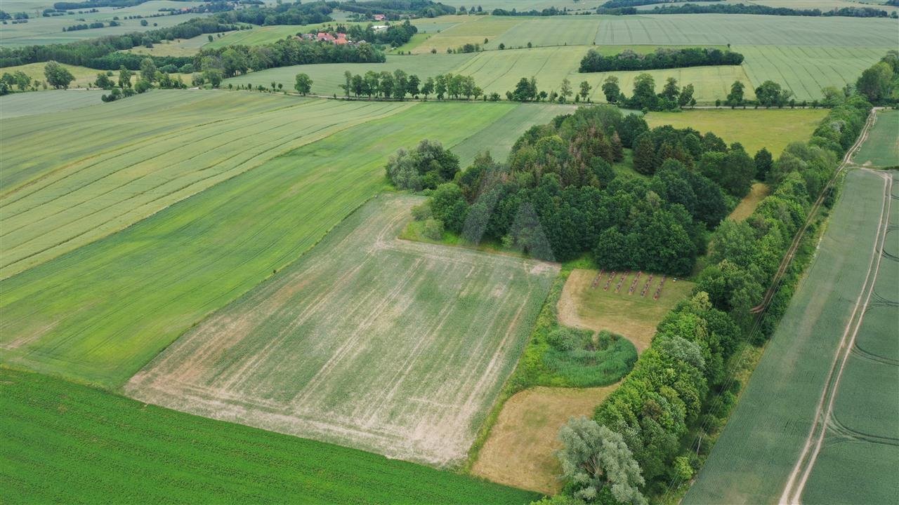 Działka siedliskowa na sprzedaż Węgielsztyn, JEZIORNA  41 068m2 Foto 6