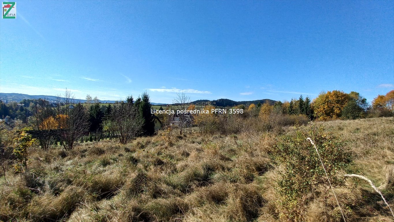 Działka budowlana na sprzedaż RABKA-ZDRÓJ  1 315m2 Foto 3