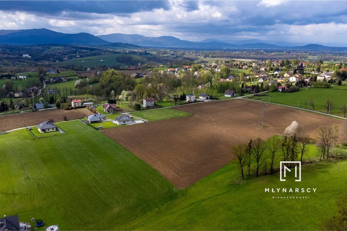 Działka budowlana na sprzedaż Bielowicko  9 276m2 Foto 4