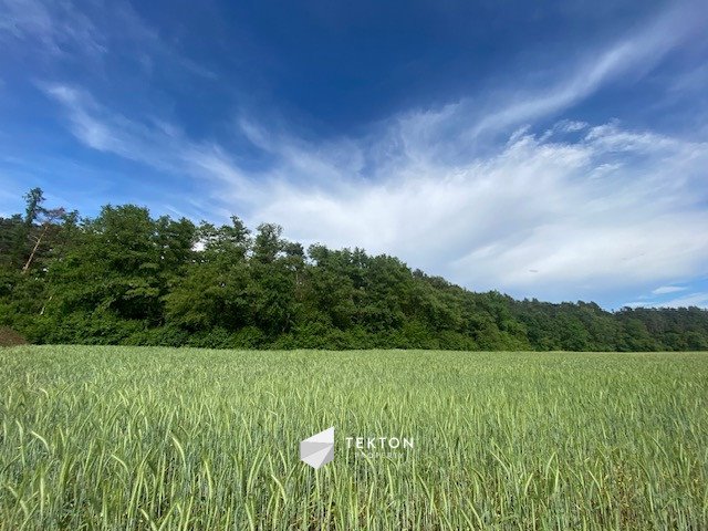 Działka budowlana na sprzedaż Karczów, Grobla  1 355m2 Foto 2