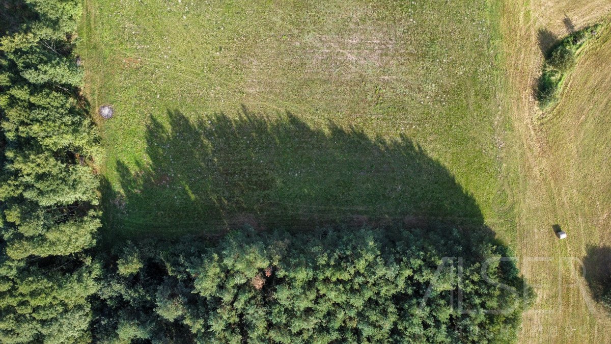 Działka budowlana na sprzedaż Stare Budy  1 017m2 Foto 5