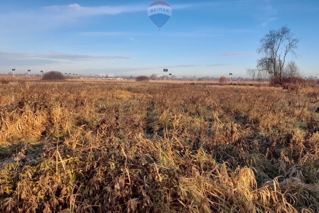 Działka rekreacyjna na sprzedaż Brzegi  4 779m2 Foto 4