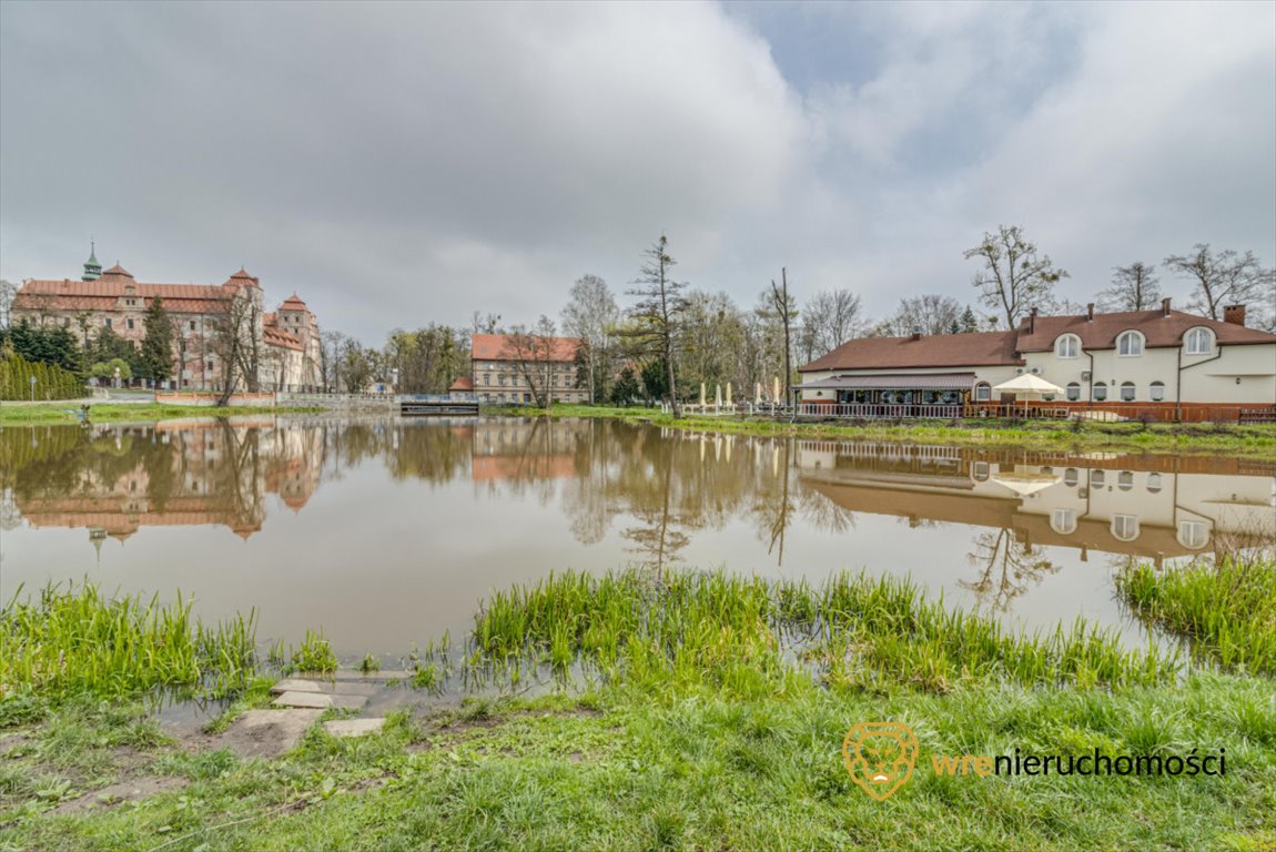 Lokal użytkowy na sprzedaż Niemodlin, Wojska Polskiego  1 113m2 Foto 8