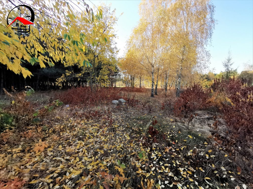 Działka gospodarstwo rolne na sprzedaż Orle  3 700m2 Foto 8