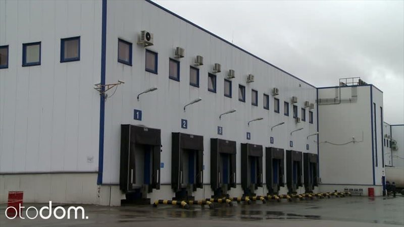 Lokal użytkowy na wynajem Gdańsk, Borkowo 1 277m2 Foto 1 Lokal użytkowy na wynajem Gdańsk, Borkowo 1 277m2 Foto 1