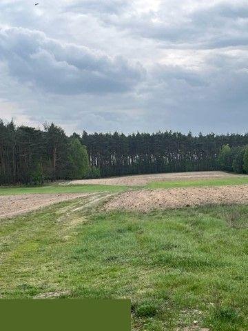 Działka rolna na sprzedaż Wierzbinek  103 000m2 Foto 7