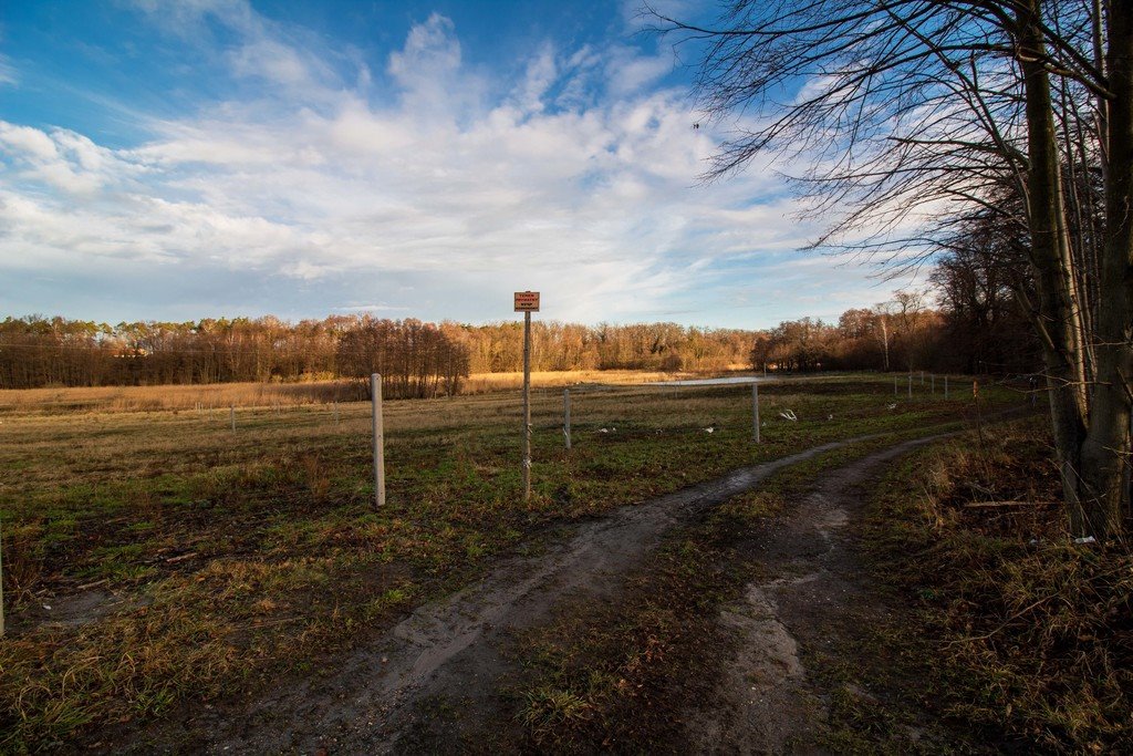 Działka budowlana na sprzedaż Żary, Bociania  1 469m2 Foto 19