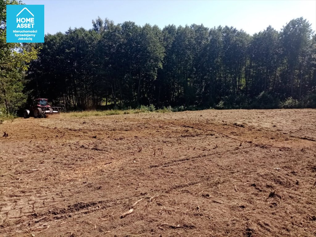 Działka 13 280 m² z MPZP, las, jezioro, inwestycje Salinko, Złota  13 280m2 Foto 1