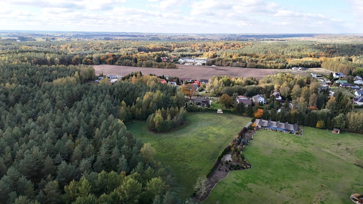 Działka budowlana na sprzedaż Okole, Nad Stawem  15 521m2 Foto 6