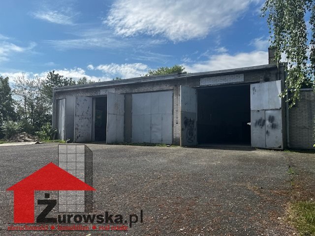 Działka inwestycyjna na sprzedaż Leśnica, Dolna  20 000m2 Foto 4