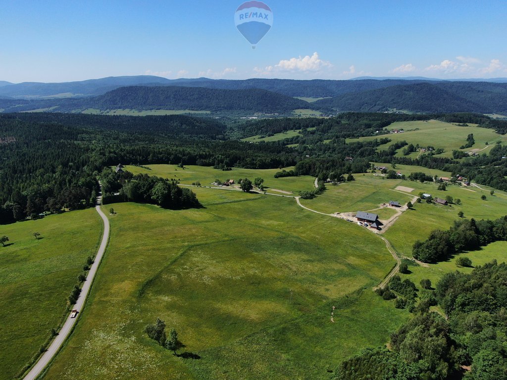 Działka budowlana na sprzedaż Nowica  12 000m2 Foto 4