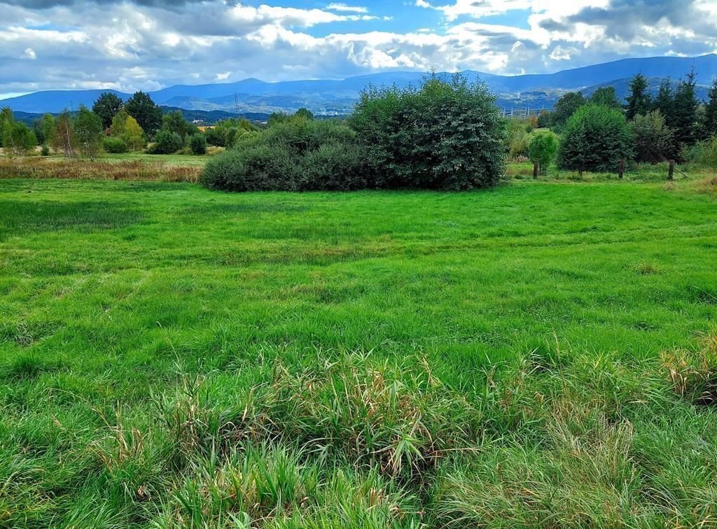 Działka inwestycyjna na sprzedaż Jelenia Góra, Goduszyn  10 549m2 Foto 1