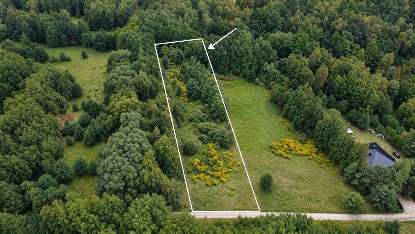 Do sprzedania działka 5119 m² w Warszkowie z dostępem do drogi Warszkowo, Spacerowa  5 119m2 Foto 1