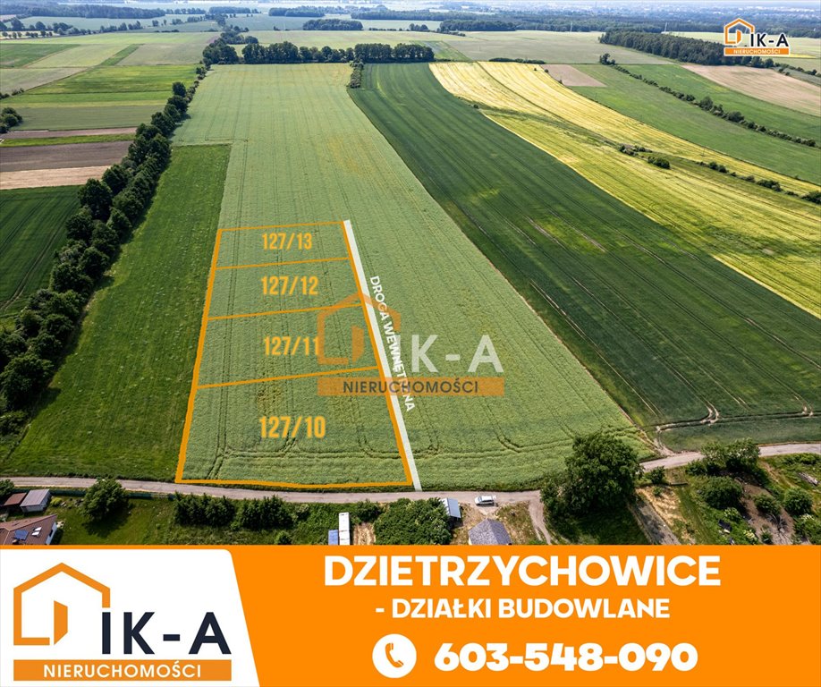 Działka budowlana na sprzedaż Dzietrzychowice, Dzietrzychowice  1 400m2 Foto 5