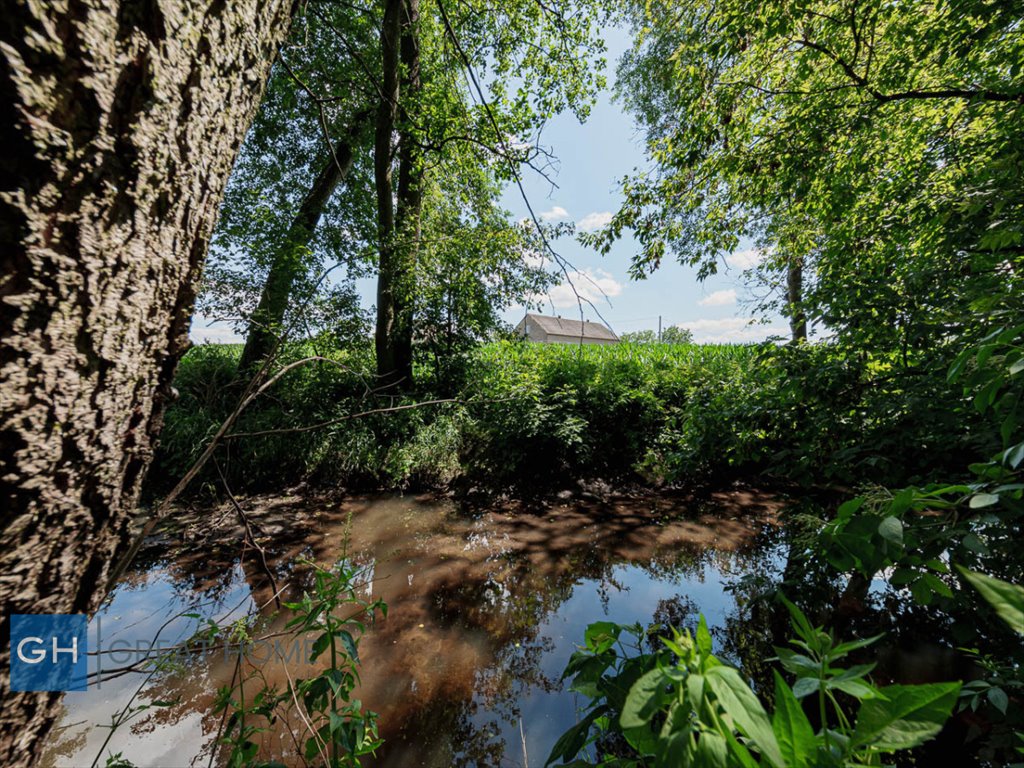 Dom na sprzedaż Bodzanów  254m2 Foto 3