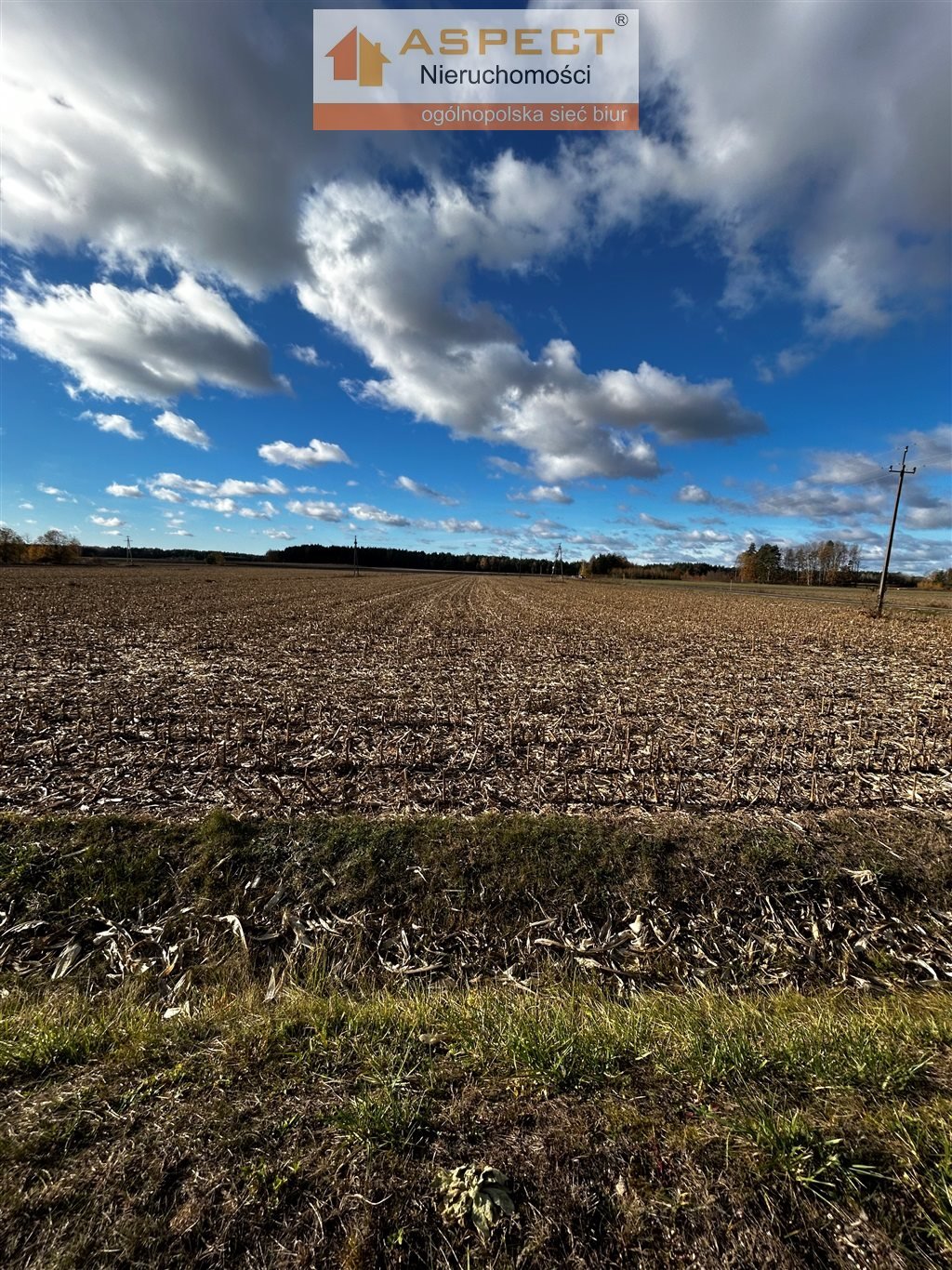 Działka budowlana na sprzedaż Zabłudów, Żuki  1 009m2 Foto 7