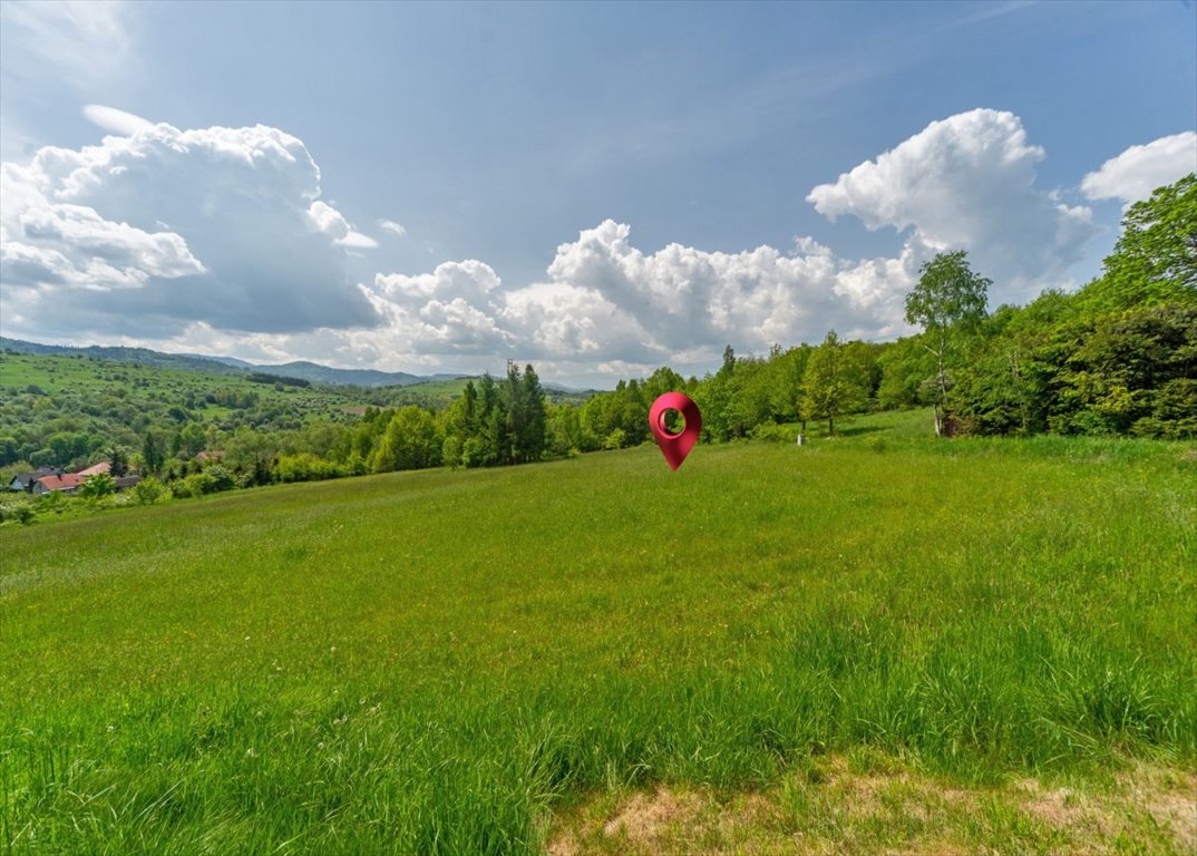 Działka budowlana na sprzedaż Żywiec, Okrężna  3 164m2 Foto 17