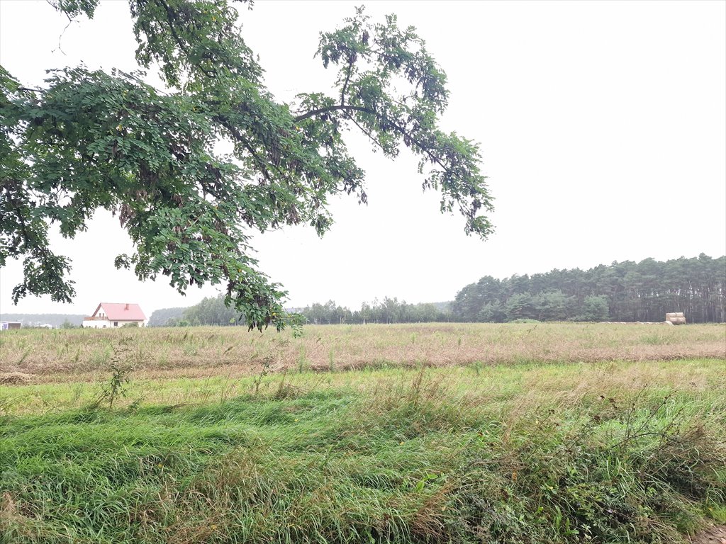 Działka budowlana na sprzedaż Niesłabin  2 000m2 Foto 7