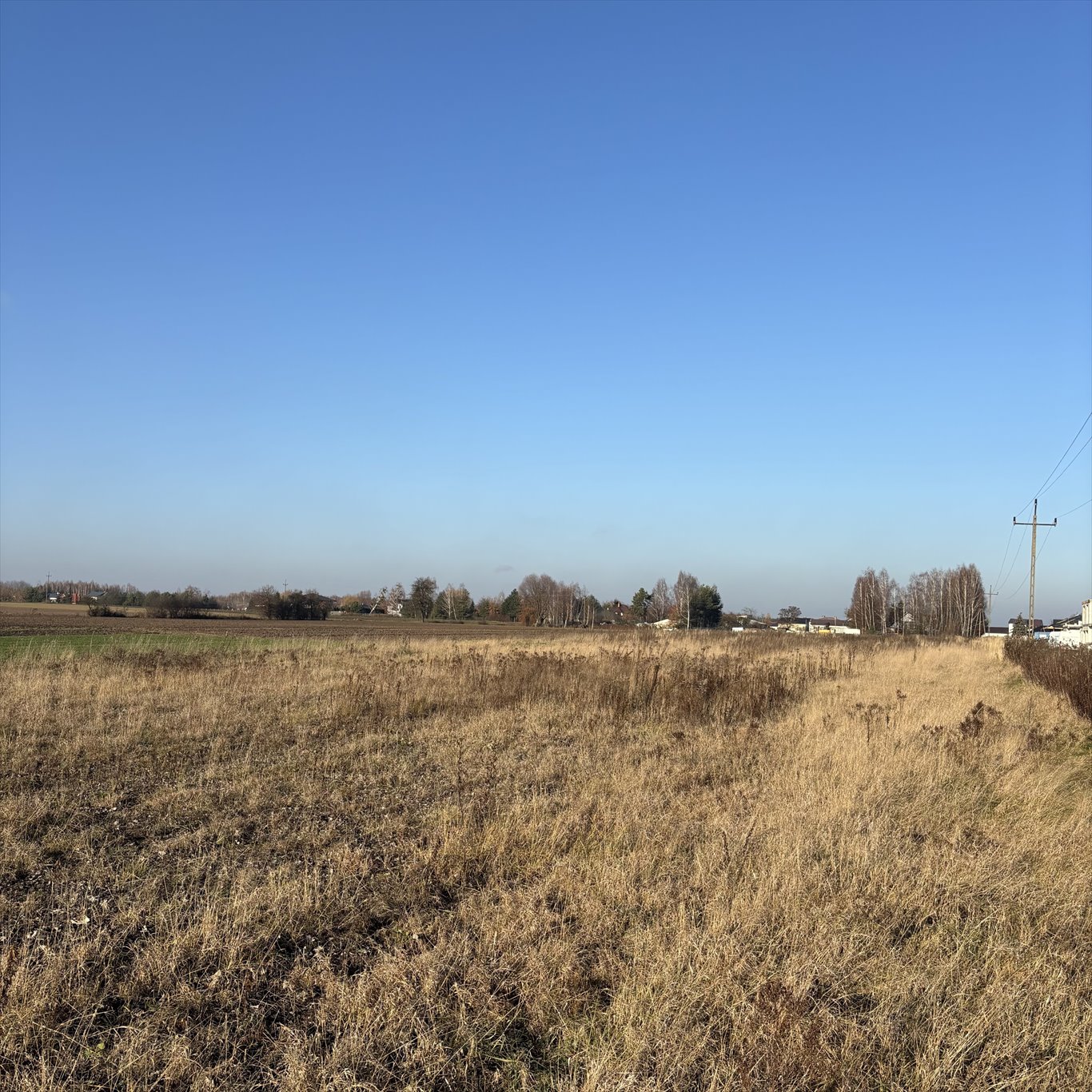 Działka budowlana na sprzedaż Wierzbin  1 000m2 Foto 6