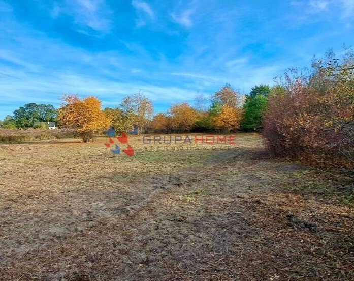 Działka budowlana na sprzedaż Rusiec  1 000m2 Foto 4