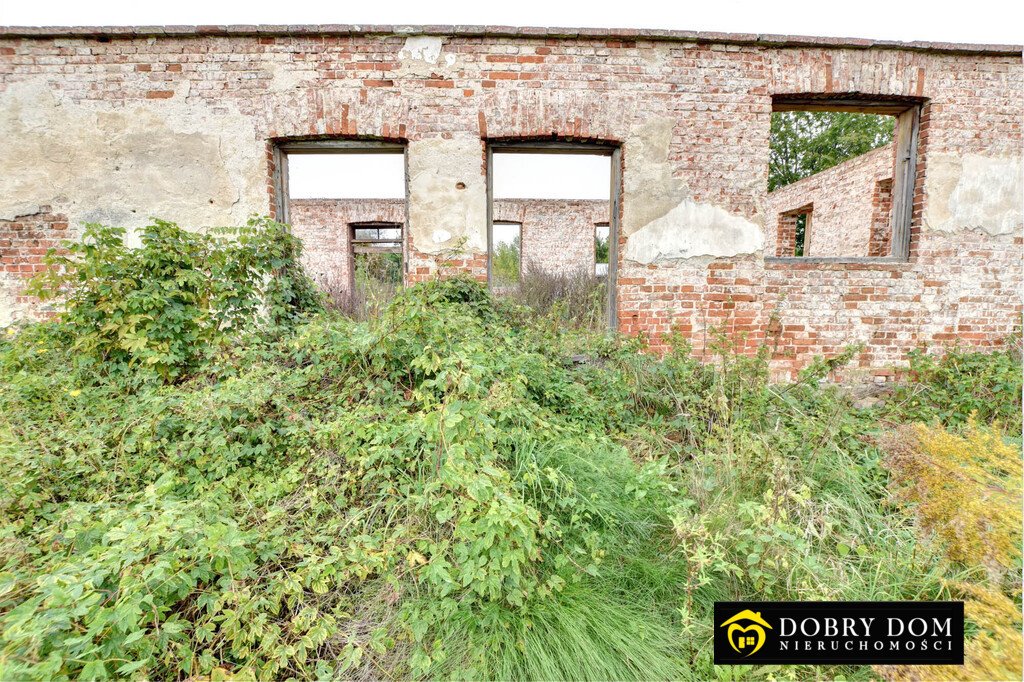 Lokal użytkowy na sprzedaż Białowieża  226m2 Foto 1