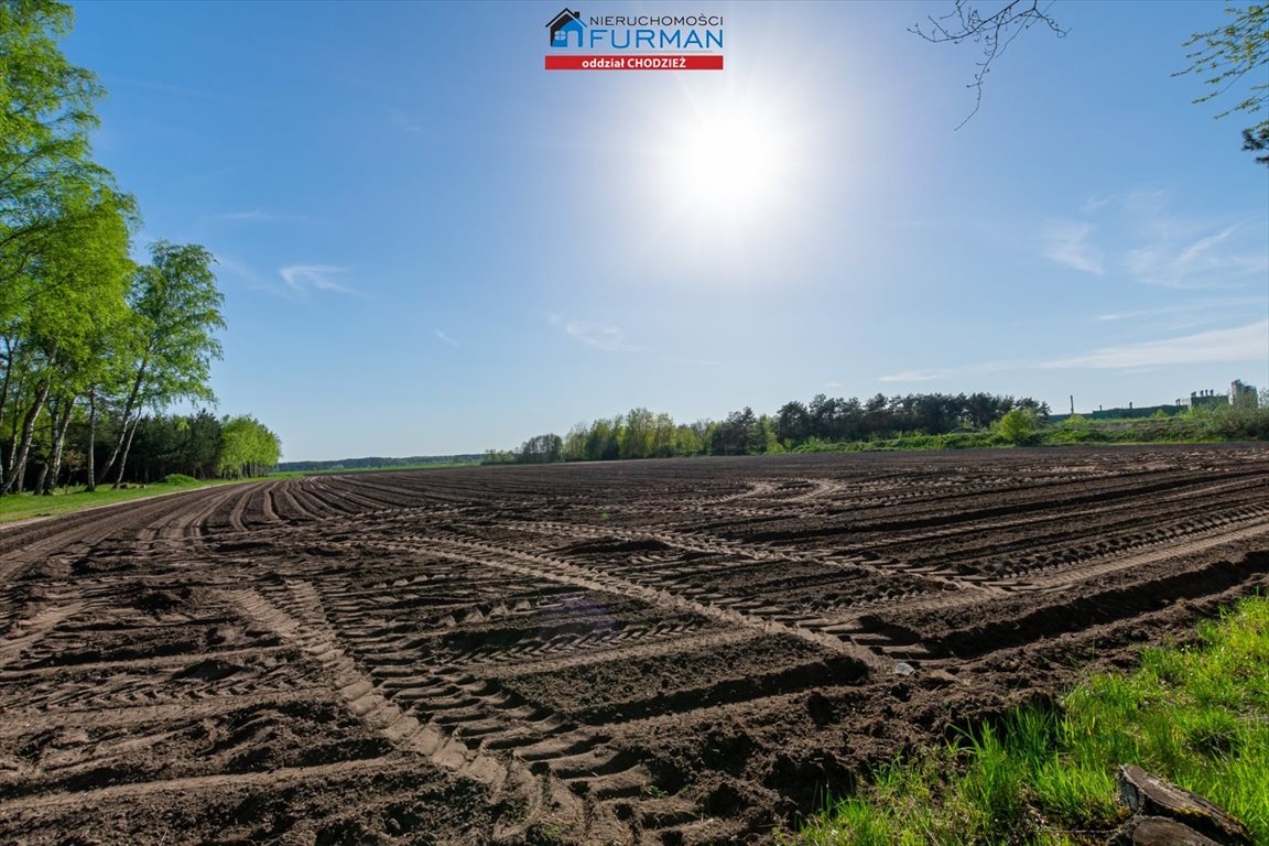 Działka 52 323 m² z lasami i łąkami – inwestycja Budzyń  52 323m2 Foto 1