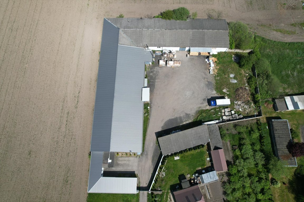 Lokal użytkowy na wynajem Osowo Nowe  2 150m2 Foto 6