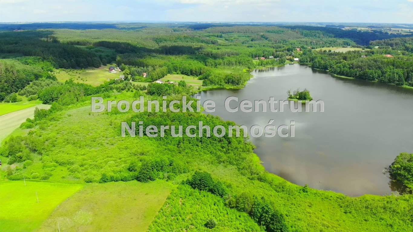 Działka inwestycyjna na sprzedaż Gaj-Grzmięca  3 010m2 Foto 16