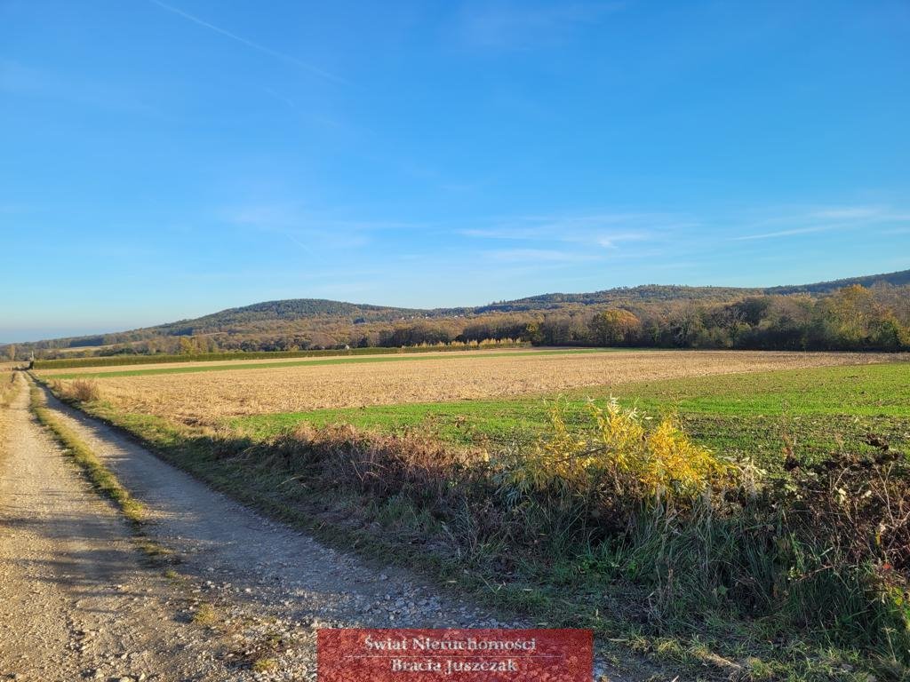 Działka rolna na sprzedaż Będkowice  11 300m2 Foto 5