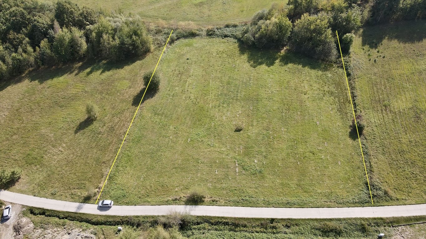 Działka budowlana na sprzedaż Chełmiec, trzetrzewina  6 700m2 Foto 3