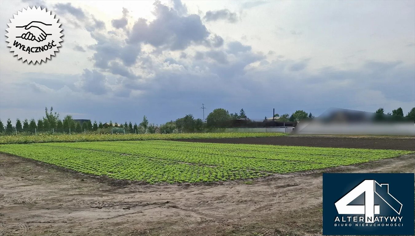 Działka budowlana na sprzedaż Pobiednik Wielki, brak  1 767m2 Foto 4