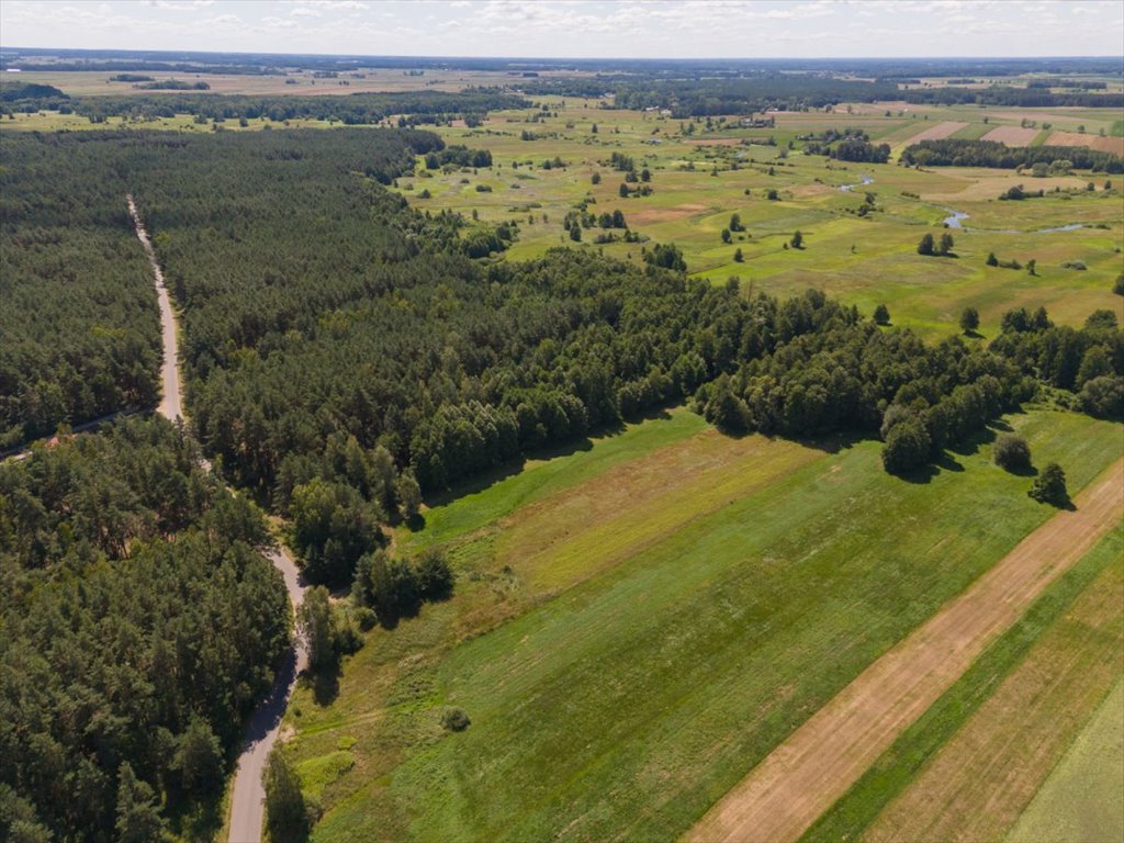 Działka leśna na sprzedaż Ossolin  2 000m2 Foto 1