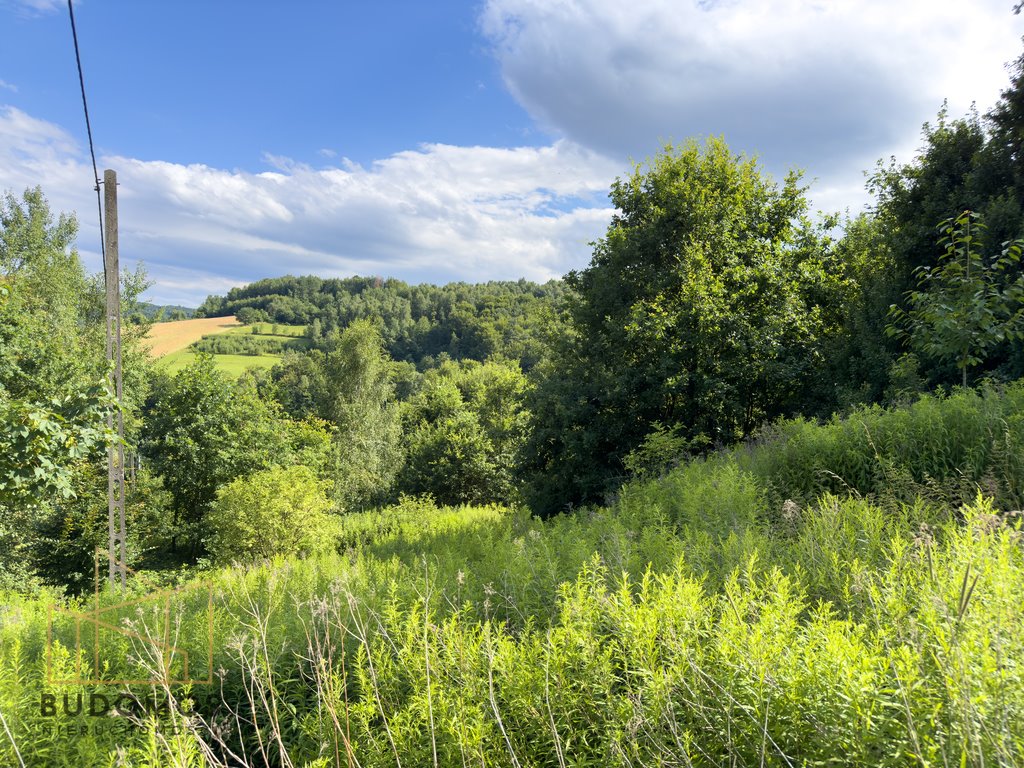 Działka rolna na sprzedaż Dębowa  7 200m2 Foto 6