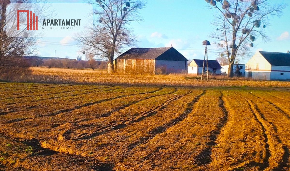 Działka budowlana na sprzedaż Niedźwiedź  5 000m2 Foto 4