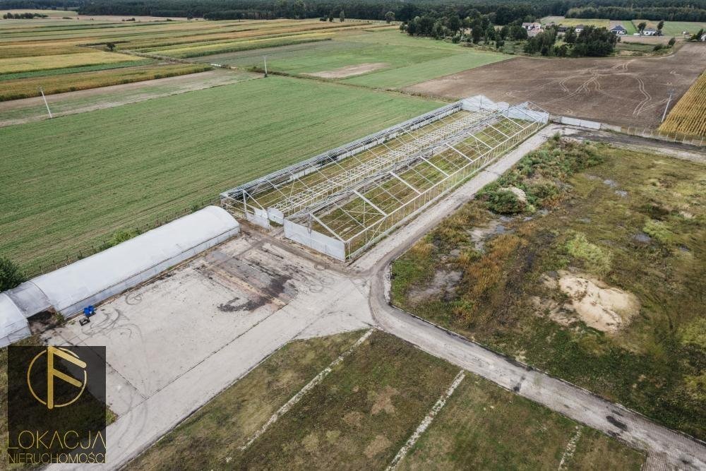 Działka inna na sprzedaż Blizanów  58 200m2 Foto 1