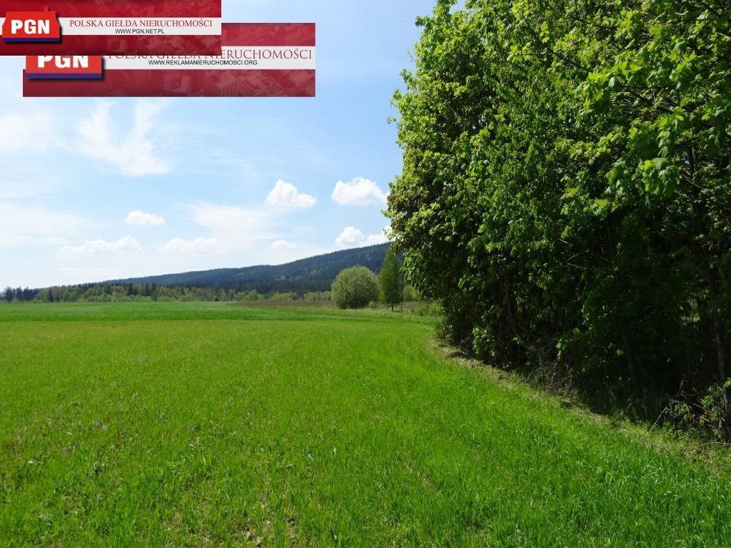 Malownicza działka z widokiem na góry, warunki zabudowy Bystrzyca Kłodzka  1 278m2 Foto 1